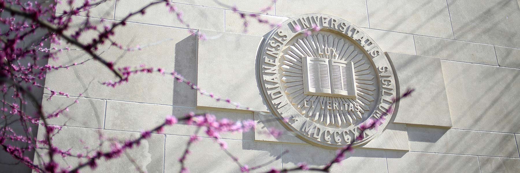 The Indiana University seal on a limestone building with a flowering tree in foreground.